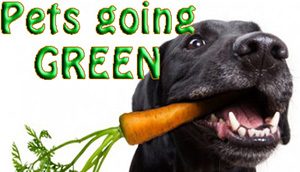 ECO PETS – GO PET GREEN!