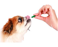 Pill popping your pooch