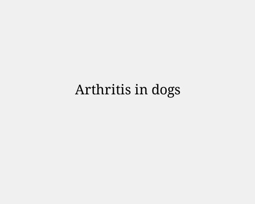 Arthritis in dogs