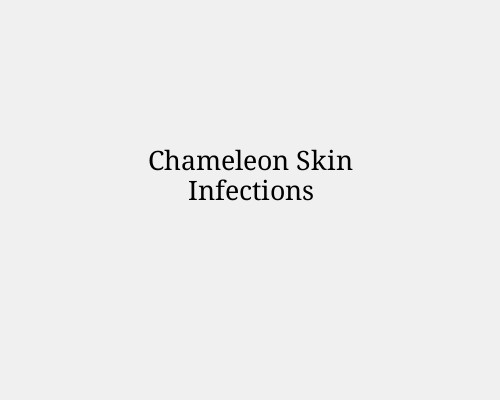 Chameleon Skin Infections