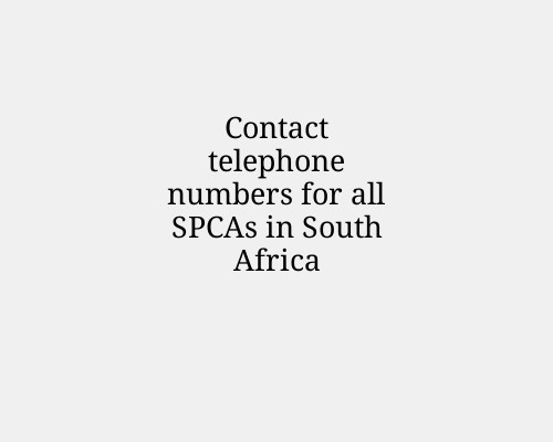 Contact telephone numbers for all SPCAs in South Africa