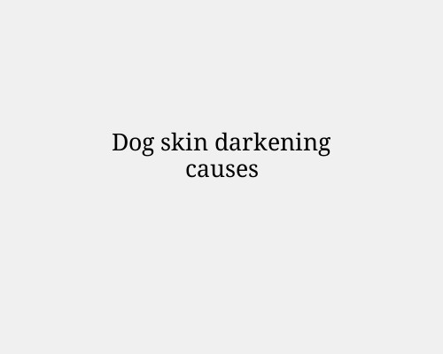 Dog skin darkening causes