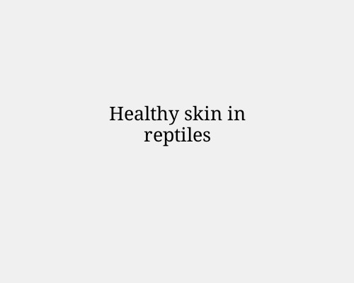 Healthy skin in reptiles