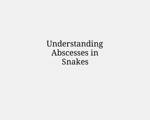 Understanding Abscesses in Snakes