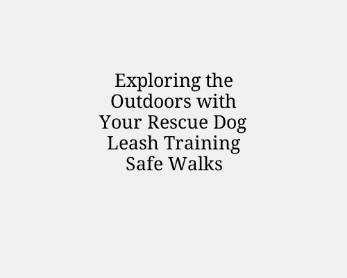 Exploring the Outdoors with Your Rescue Dog Leash Training Safe Walks