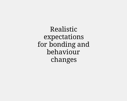 Realistic expectations for bonding and behaviour changes