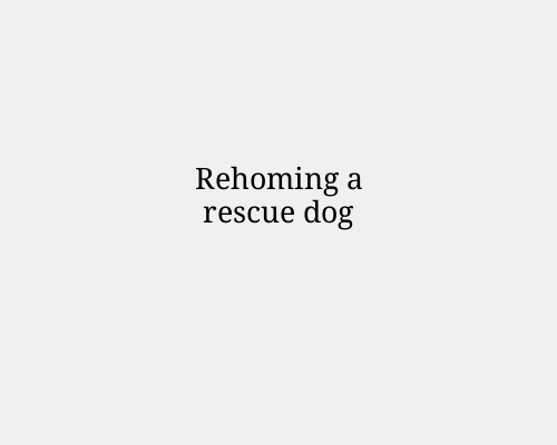 Rehoming a rescue dog